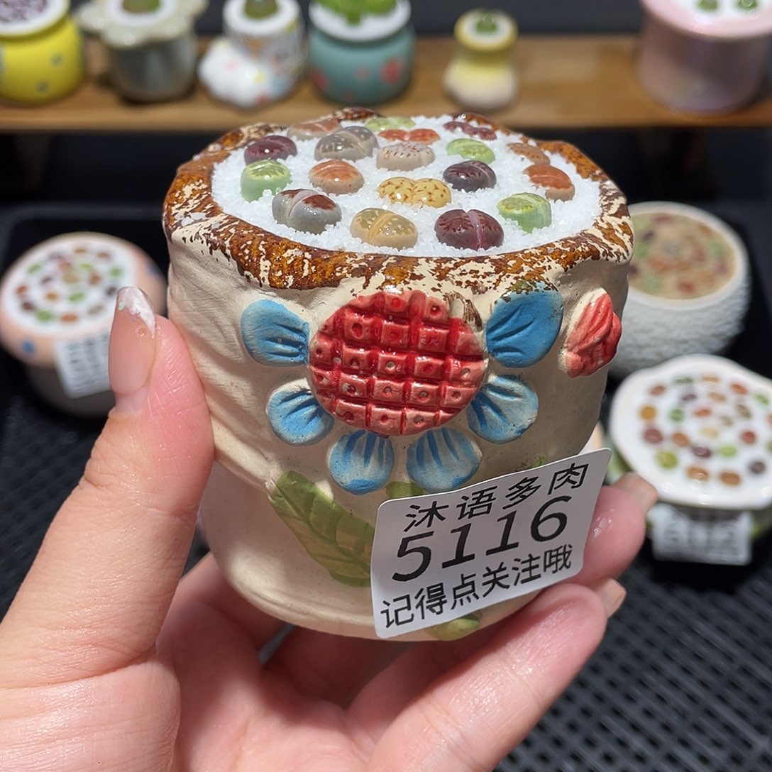 带盆土植物 一物一拍5116