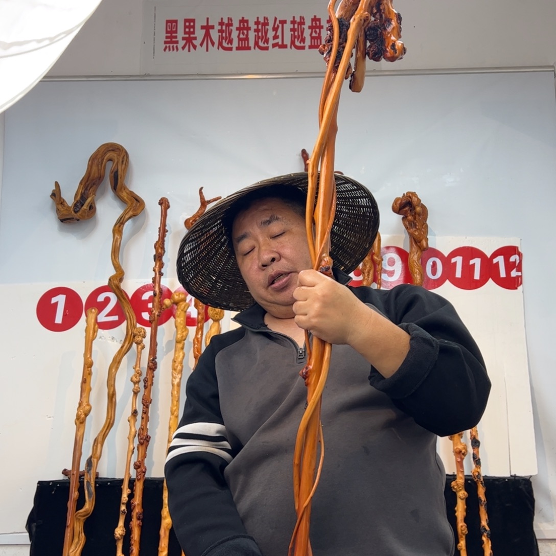 大***树黑果木其他黑果木401