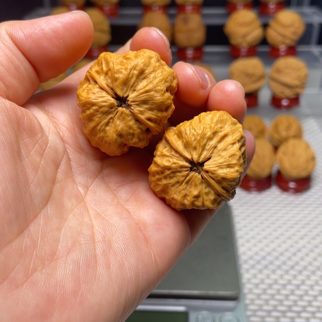 文玩核桃把件56龙脊妖蟾