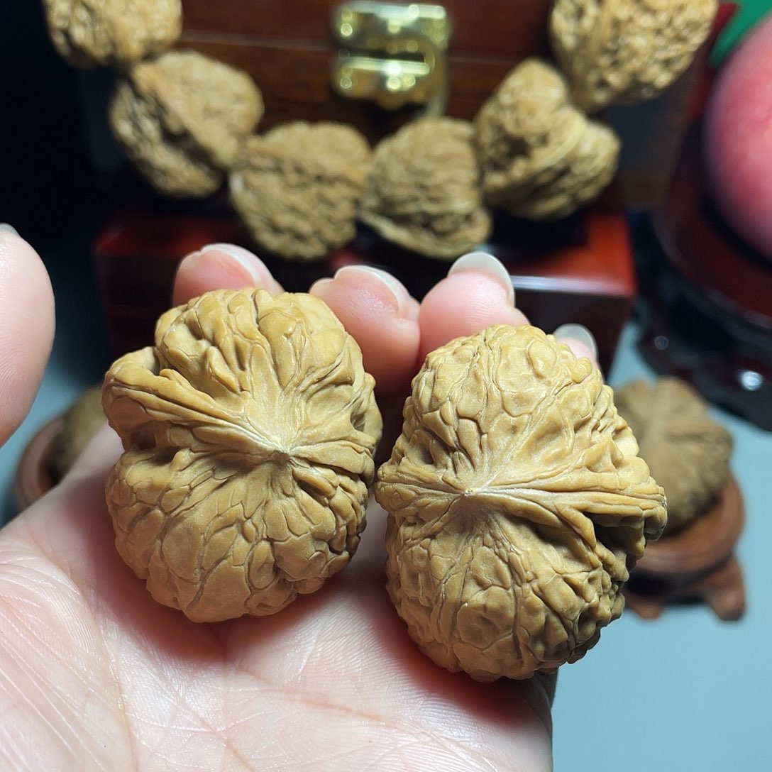 核桃手串/手链精品大团圆魔丸飞蛇