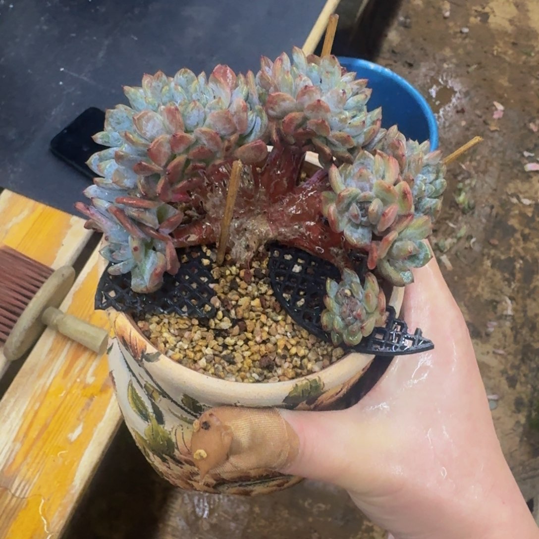 嗨***J哈哈哈哈哈哈哈哈哈哈