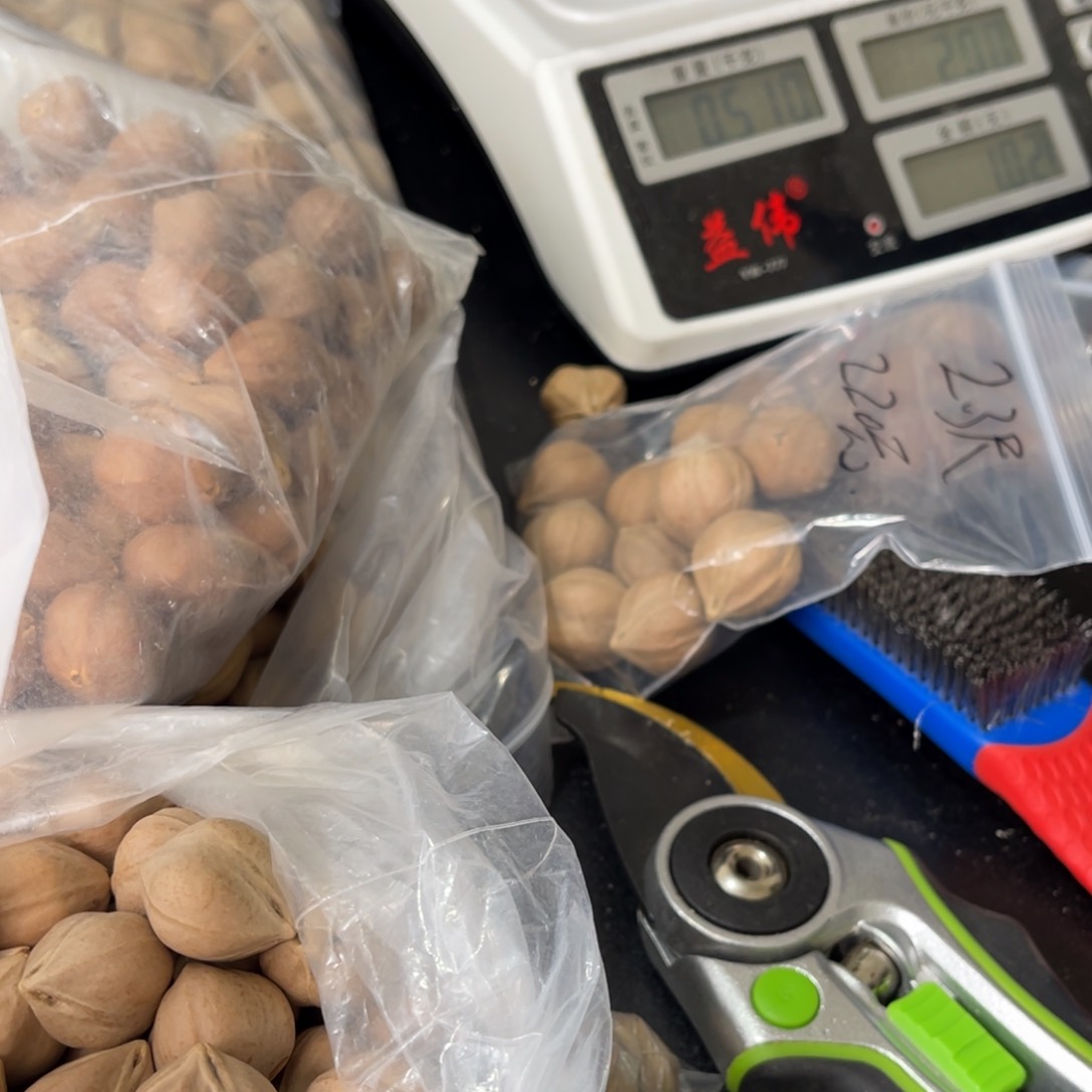 吊坠橄榄核青**酒11111111