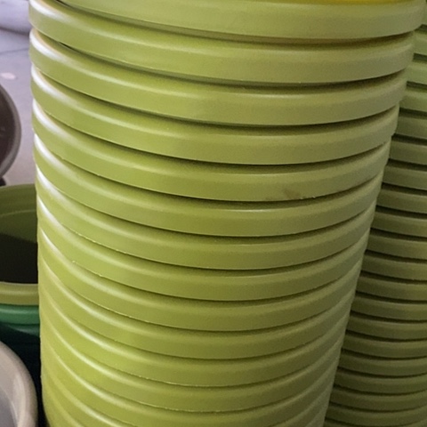 树脂四季4号果绿无托8个