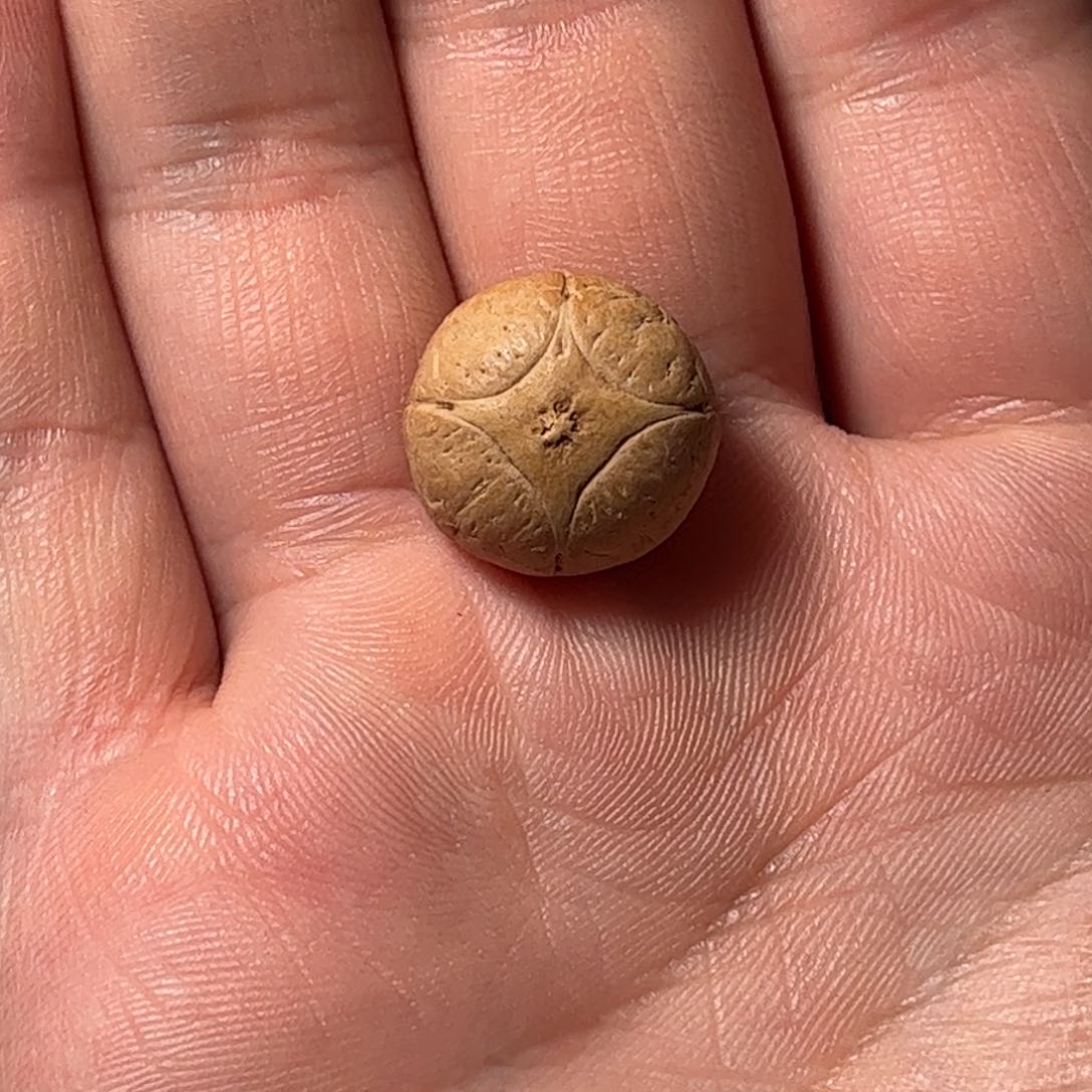 桃核吊坠17mm麒麟眼，开孔不退，偏远不包