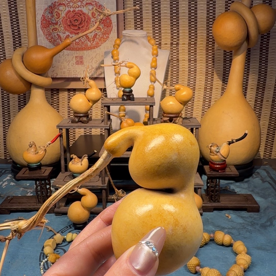 榴***哥手把蚂蚁弓背贴肚