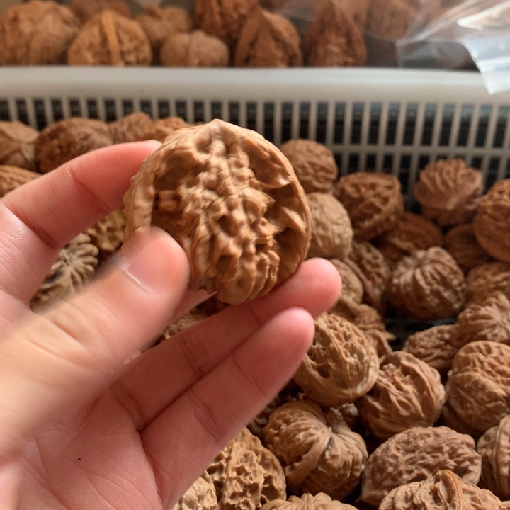 随***缘文玩核桃把件兔子