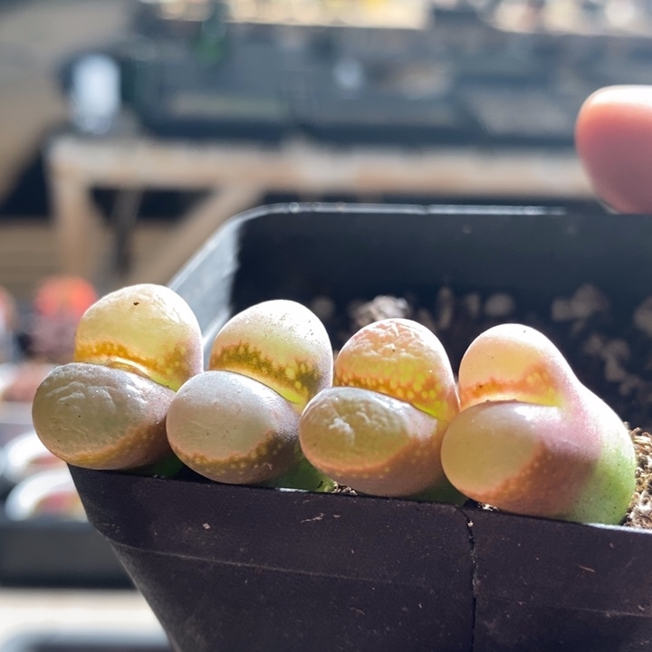 24102一组一组一组