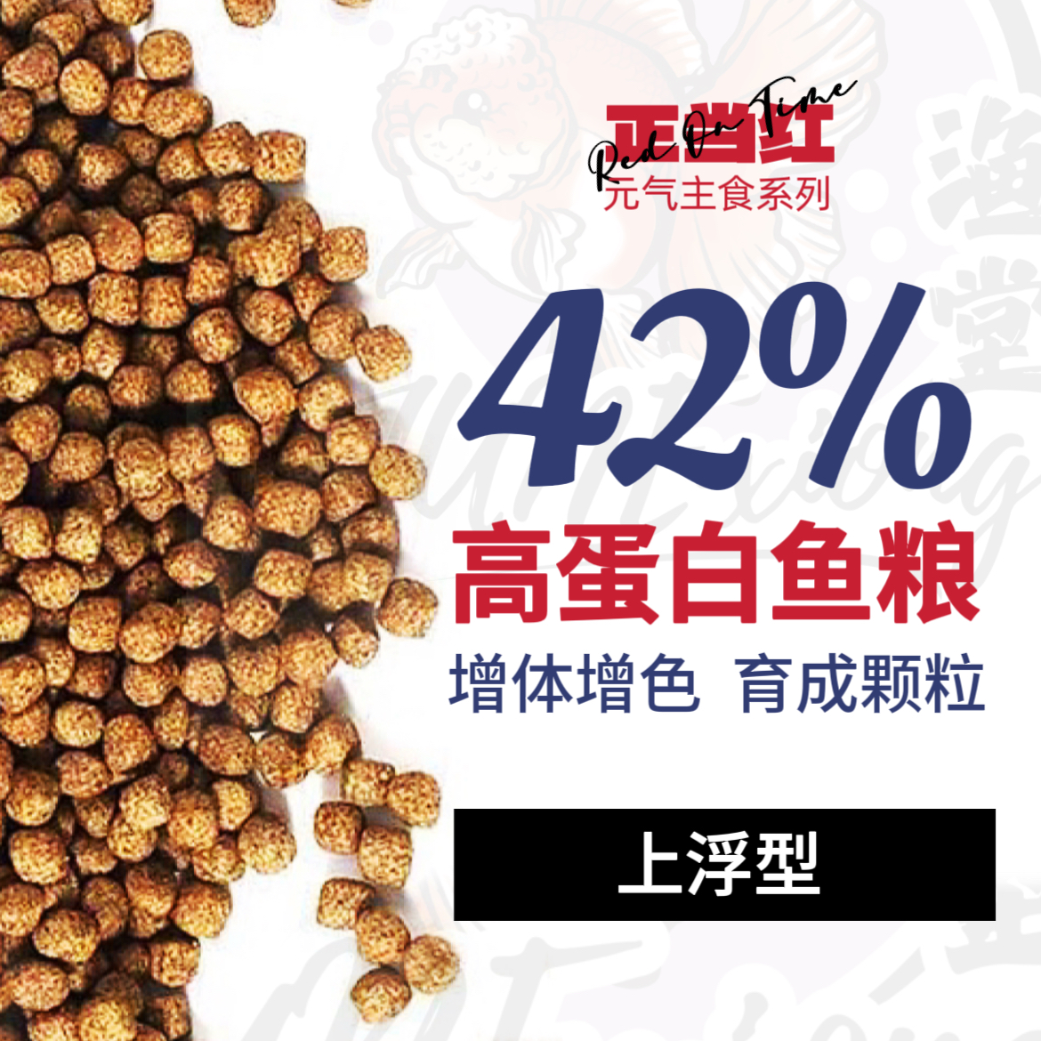 【渔堂定制 | 正当红】42%蛋白上浮型育成色扬观赏鱼饲料鱼粮