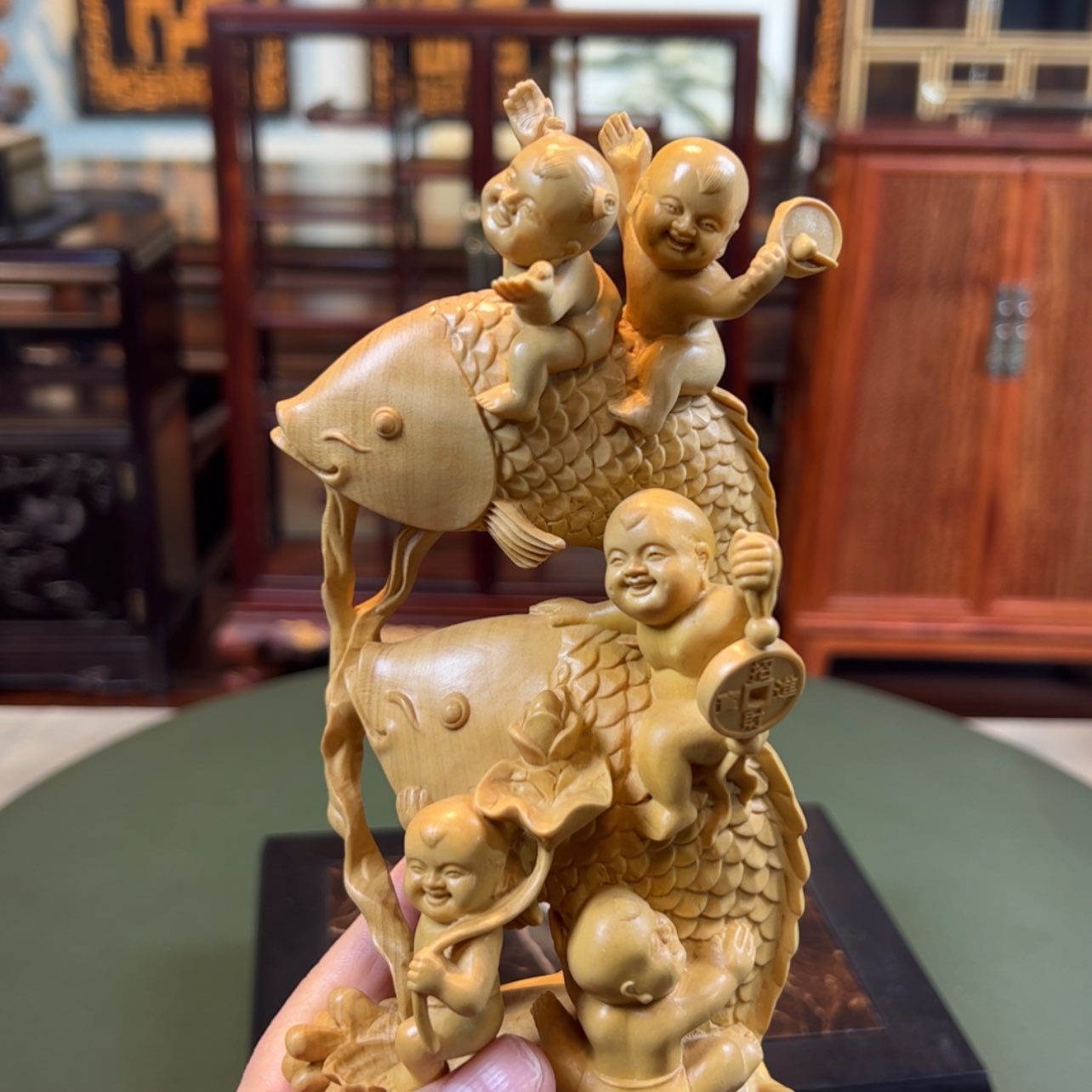 【闪购商品】黄杨木其他黄杨木