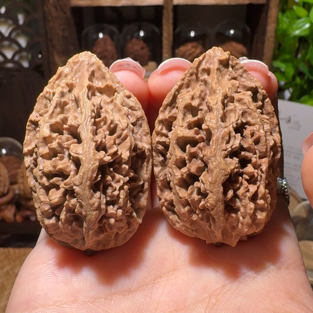 文玩核桃把件沉水蚂蚁山