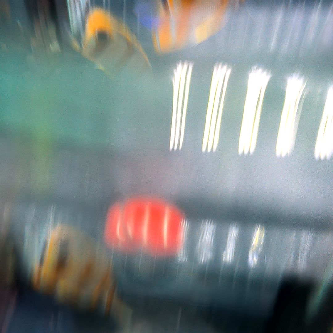 海水鱼三间火箭6+/5-46-113