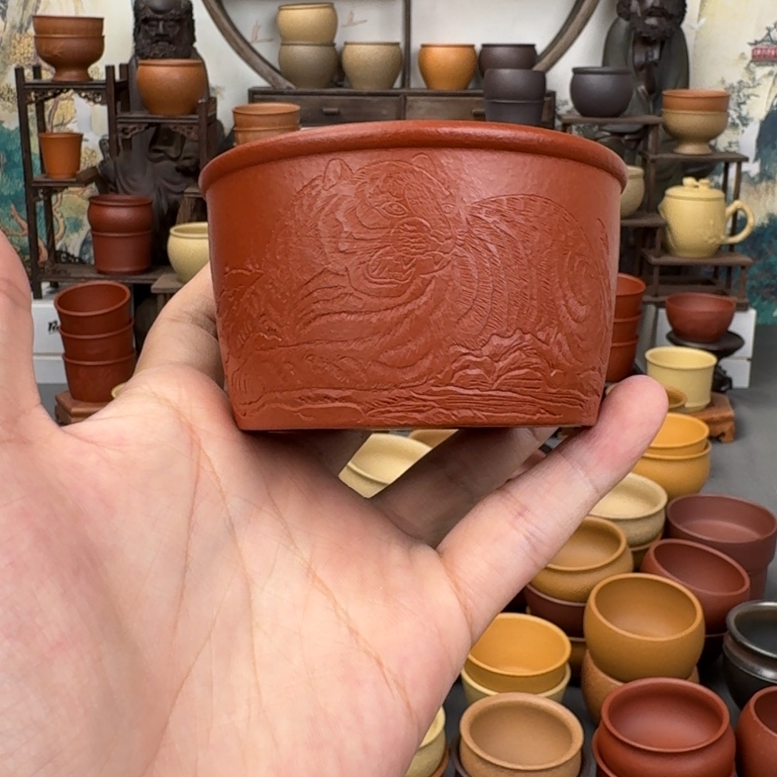 茶杯紫砂555845555358855