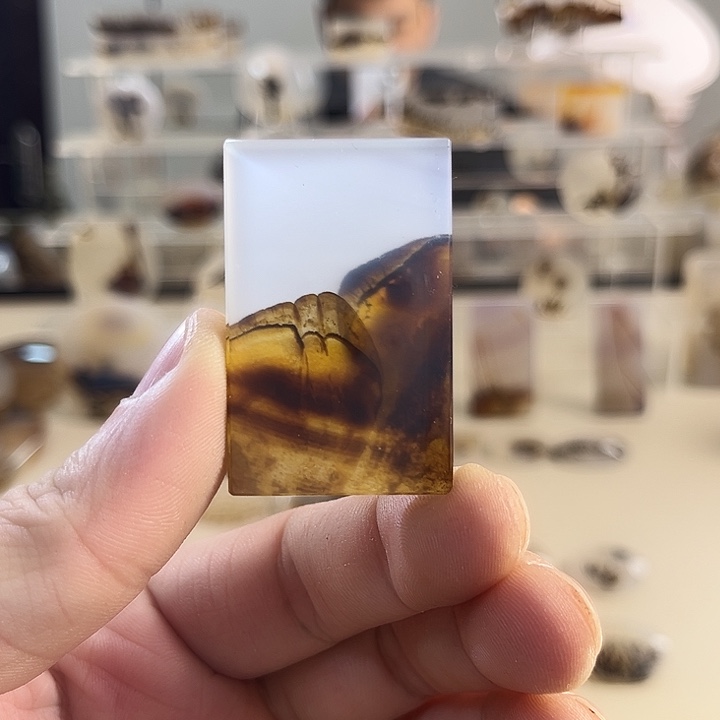 玛瑙/玉髓吊坠(不含链)未镶嵌