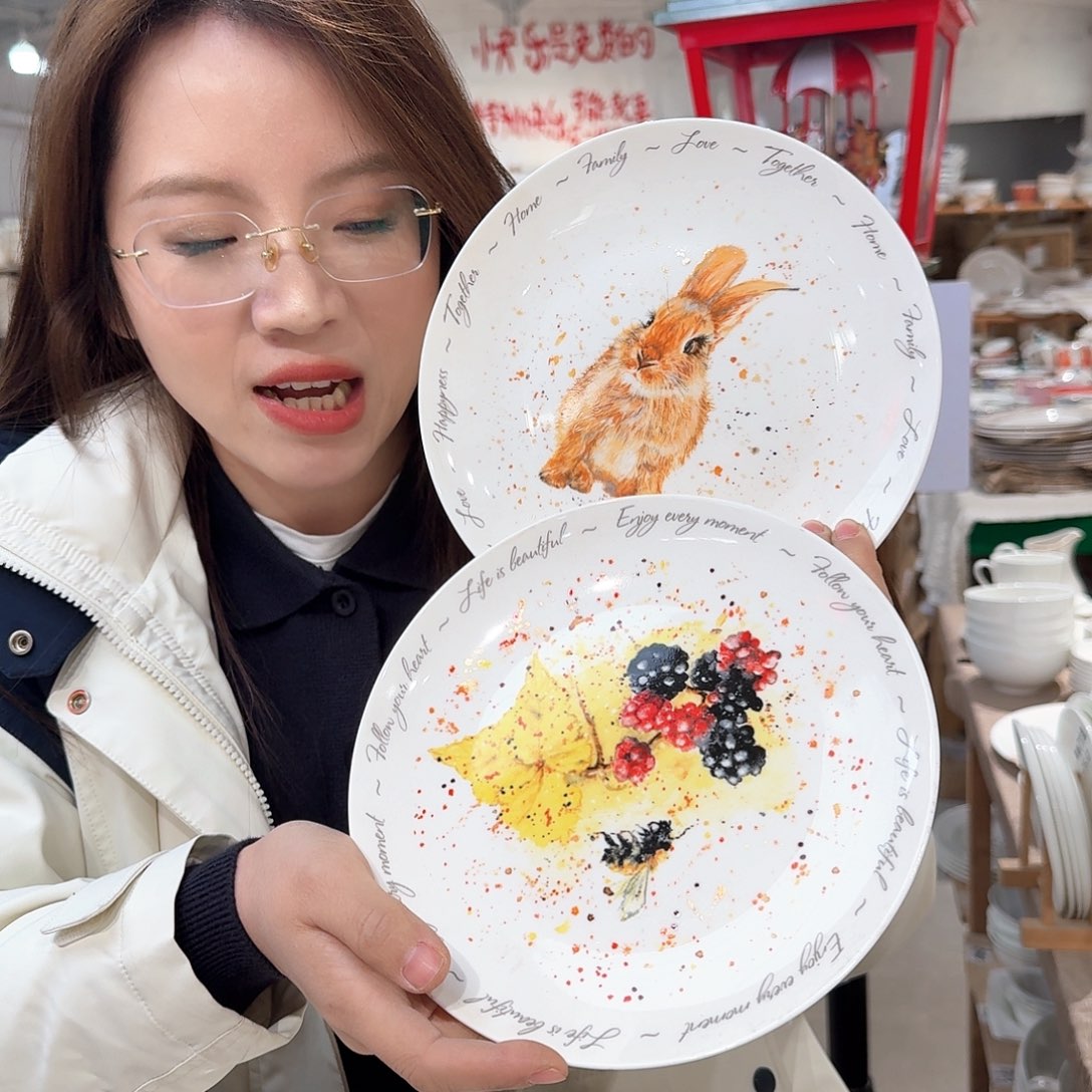 瓷骨瓷8英寸20cm平盘2只外贸尾单