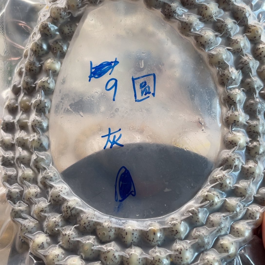 星月菩提吊坠9圆珠