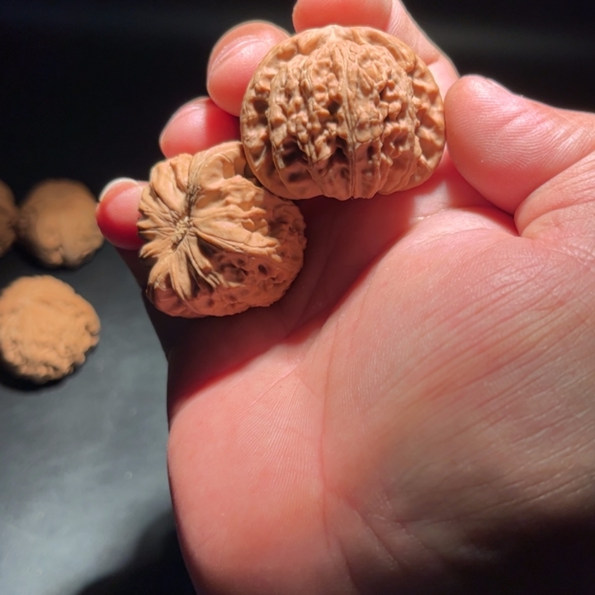 【闪购商品】L**g文玩核桃木制手把件