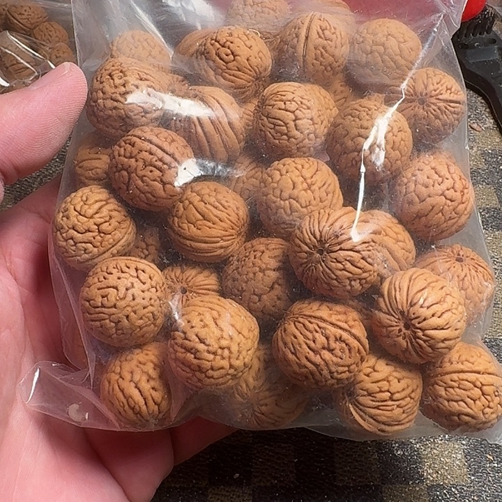 用***5桃核吊坠666666666666