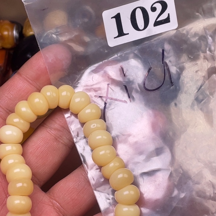 驼骨其他人工养殖