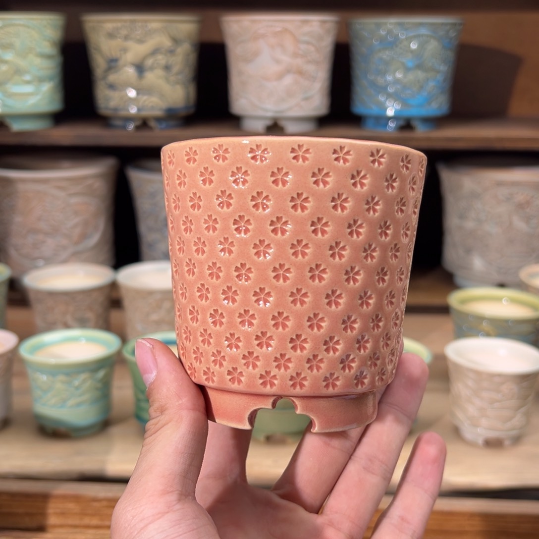 瓷片dy0115-062m福利特价