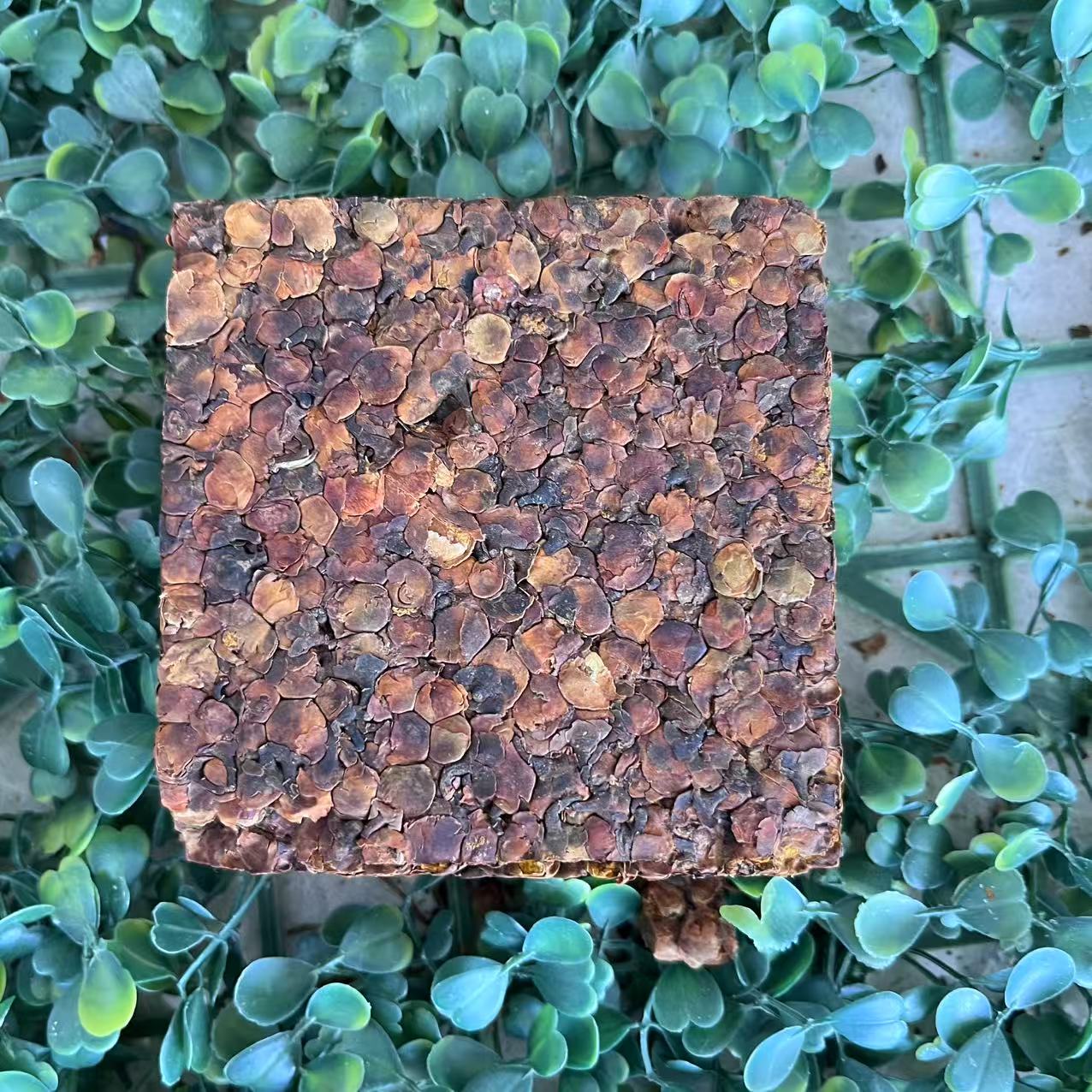 雨腾古茶  爷爷亲制 神X紫丹原丹“Z元人S果”紫丹200g/砖（5月10）