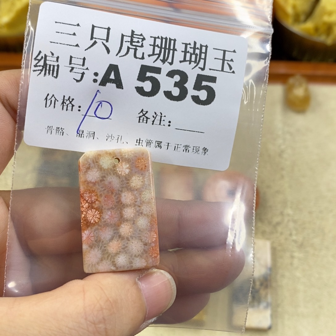 硅化珊瑚（珊瑚玉）1未镶嵌炎*