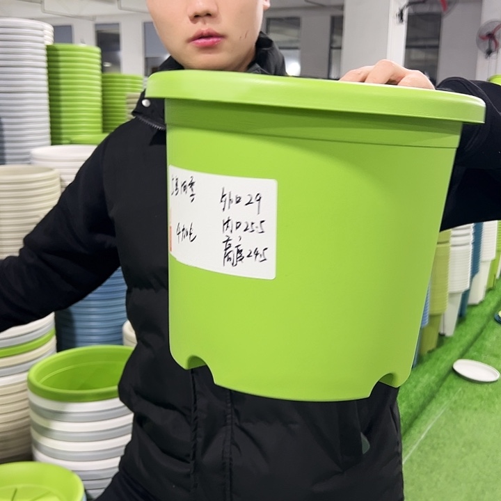 特价5号口下29高24.5果绿色10只无托