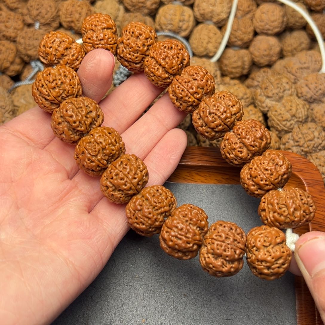 菩提5号尼泊尔大金刚20梅花梁