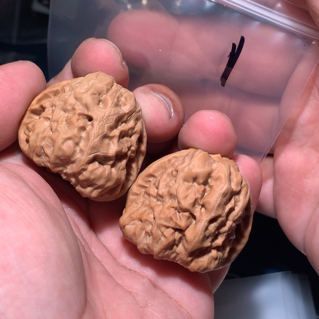 文玩核桃吊坠蛤蟆 1