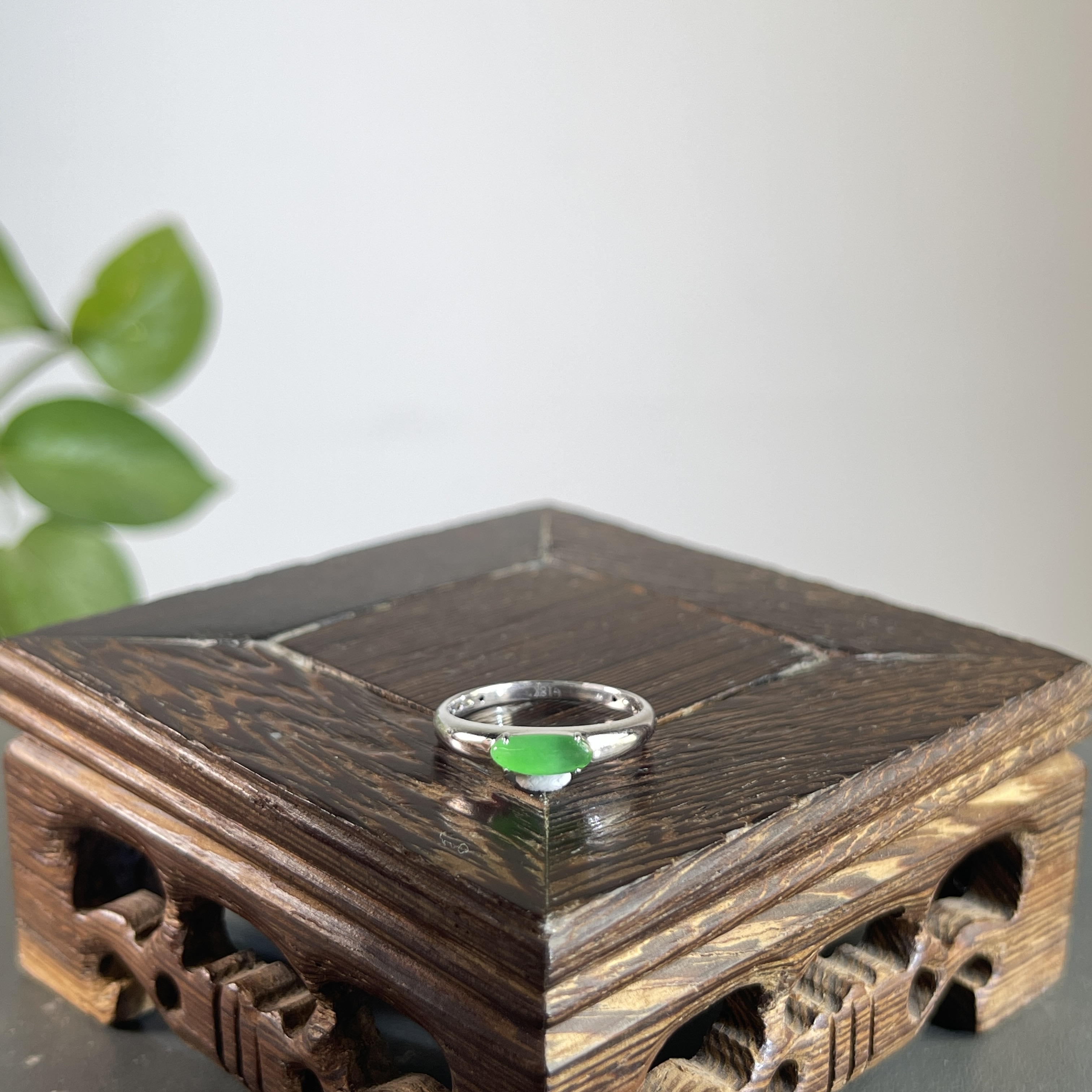 JGB12-204   天然缅甸A货翡翠  18K镶嵌戒指14#