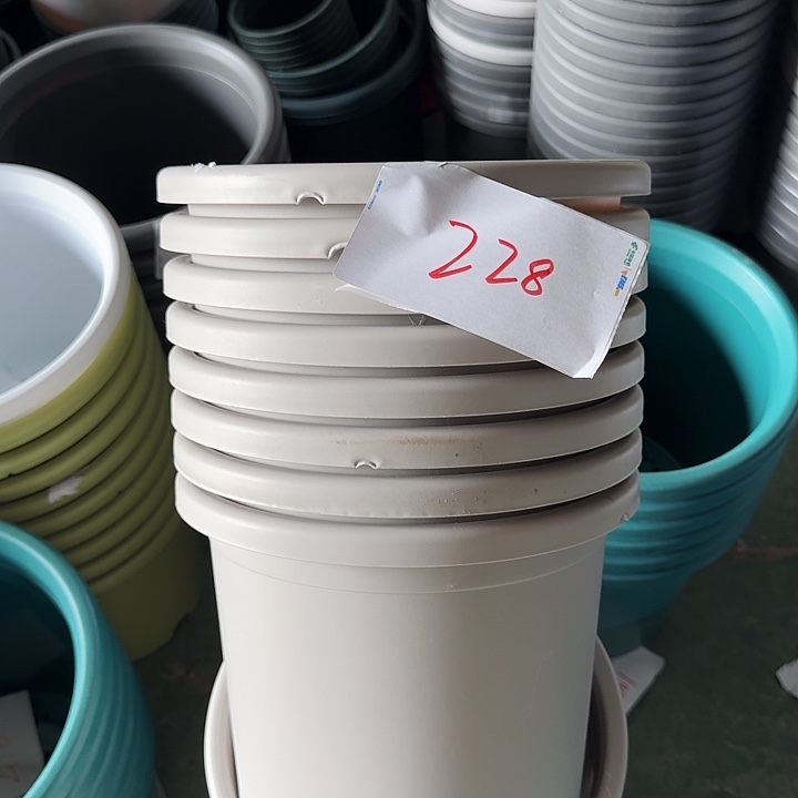 编号228缺口6个无托