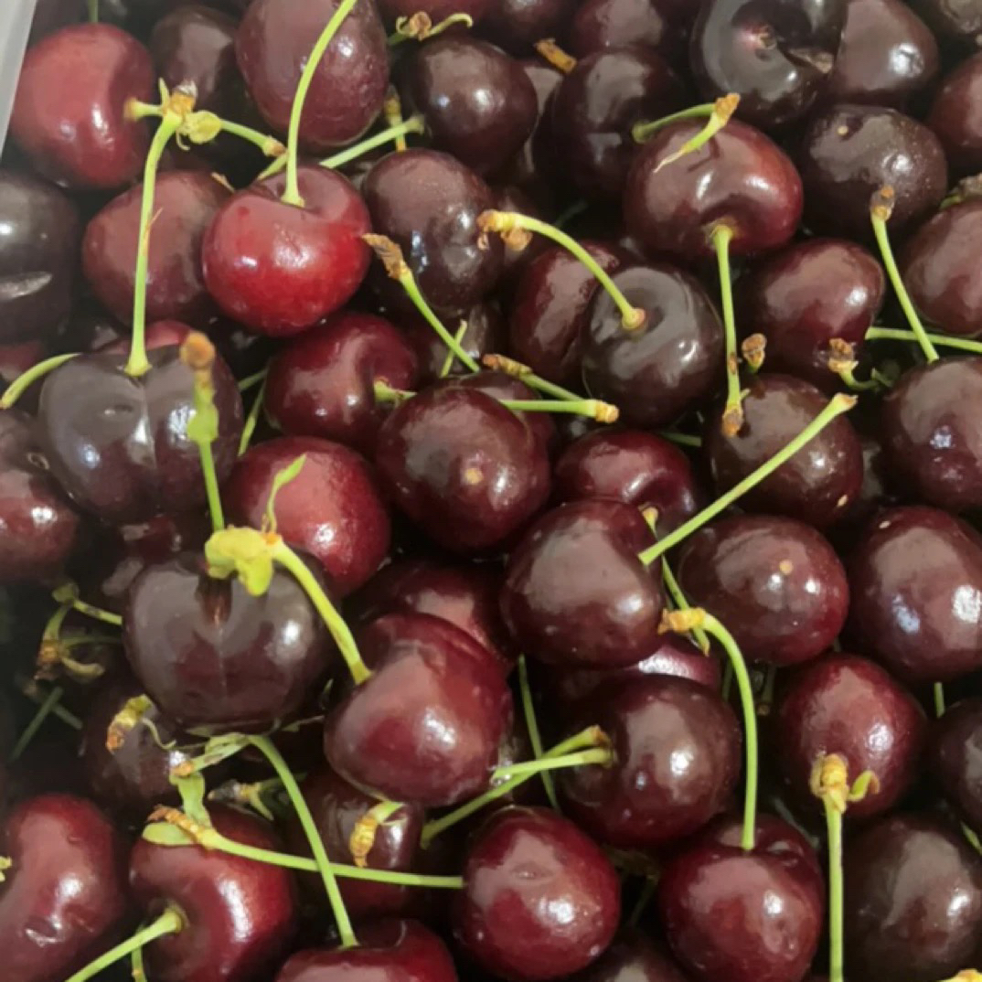 海运智利车厘子3J 6斤装智利