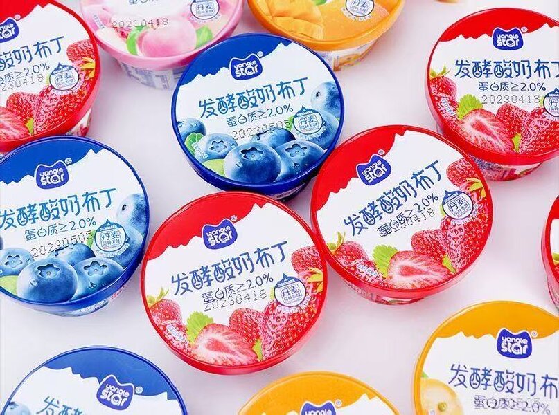 发酵酸奶布丁草莓蓝莓白桃味美味营养零食酸奶布丁
