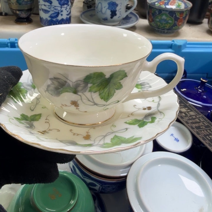 瓷片开播啦….开播啦！