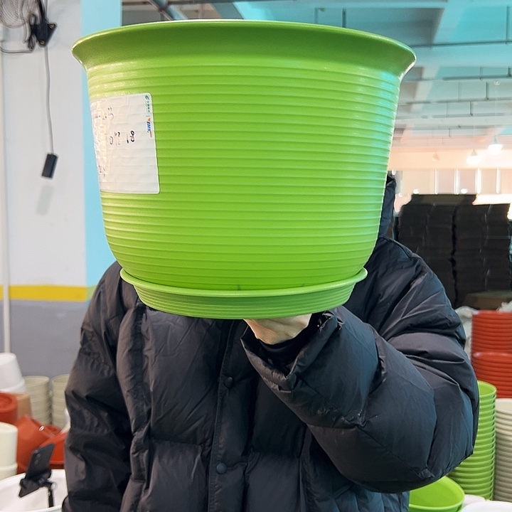 正品矮陶口30高22果绿带托5只