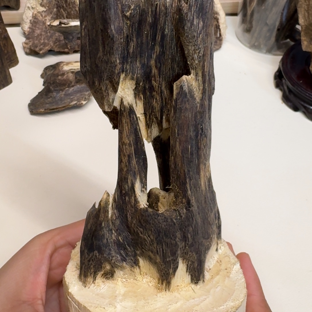 沉香沉香碎屑紫棋虫漏123克