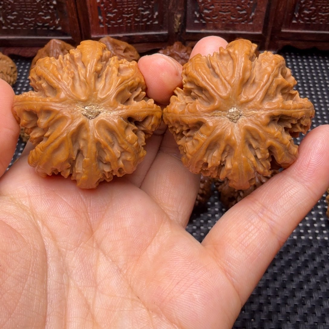 文玩核桃把件龙脊八棱06