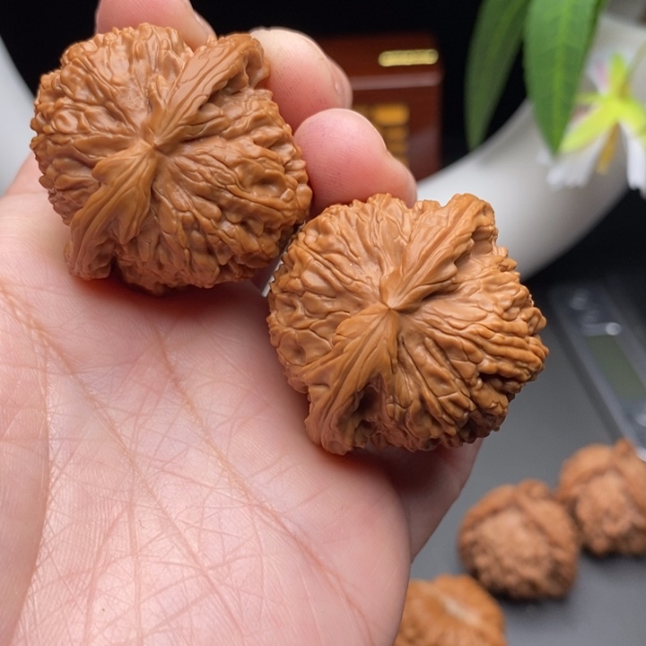 文玩核桃把件菲白狮子40