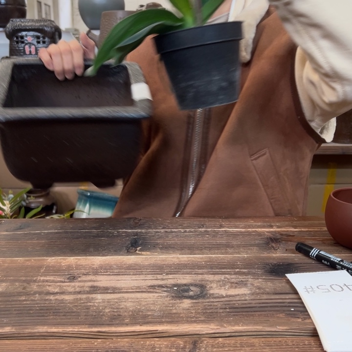 紫砂花盆4055555555555555