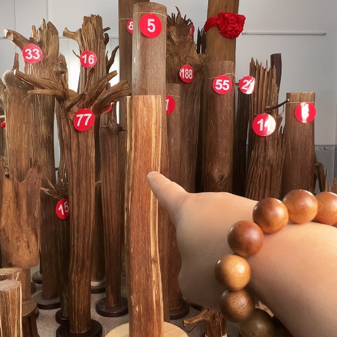 给***灿摆件沉香沉香原料6