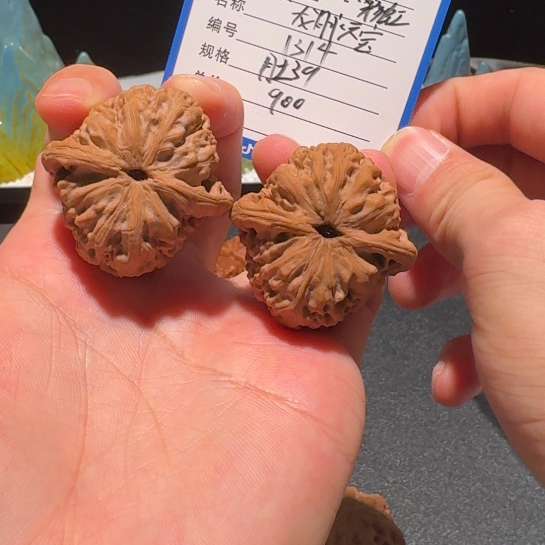 戴***虹龙脉元宝精品编号1314