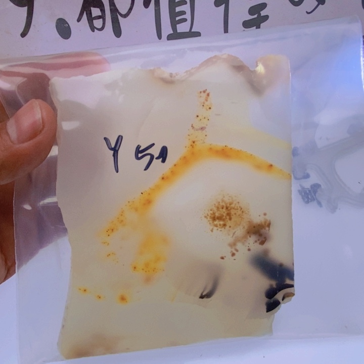 玛瑙/玉髓颈饰未镶嵌庄**蝶