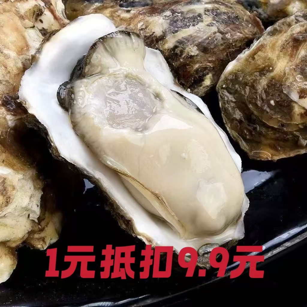 线下抵扣券(1元抵9.9元) 【50G-200G生蚝通用】