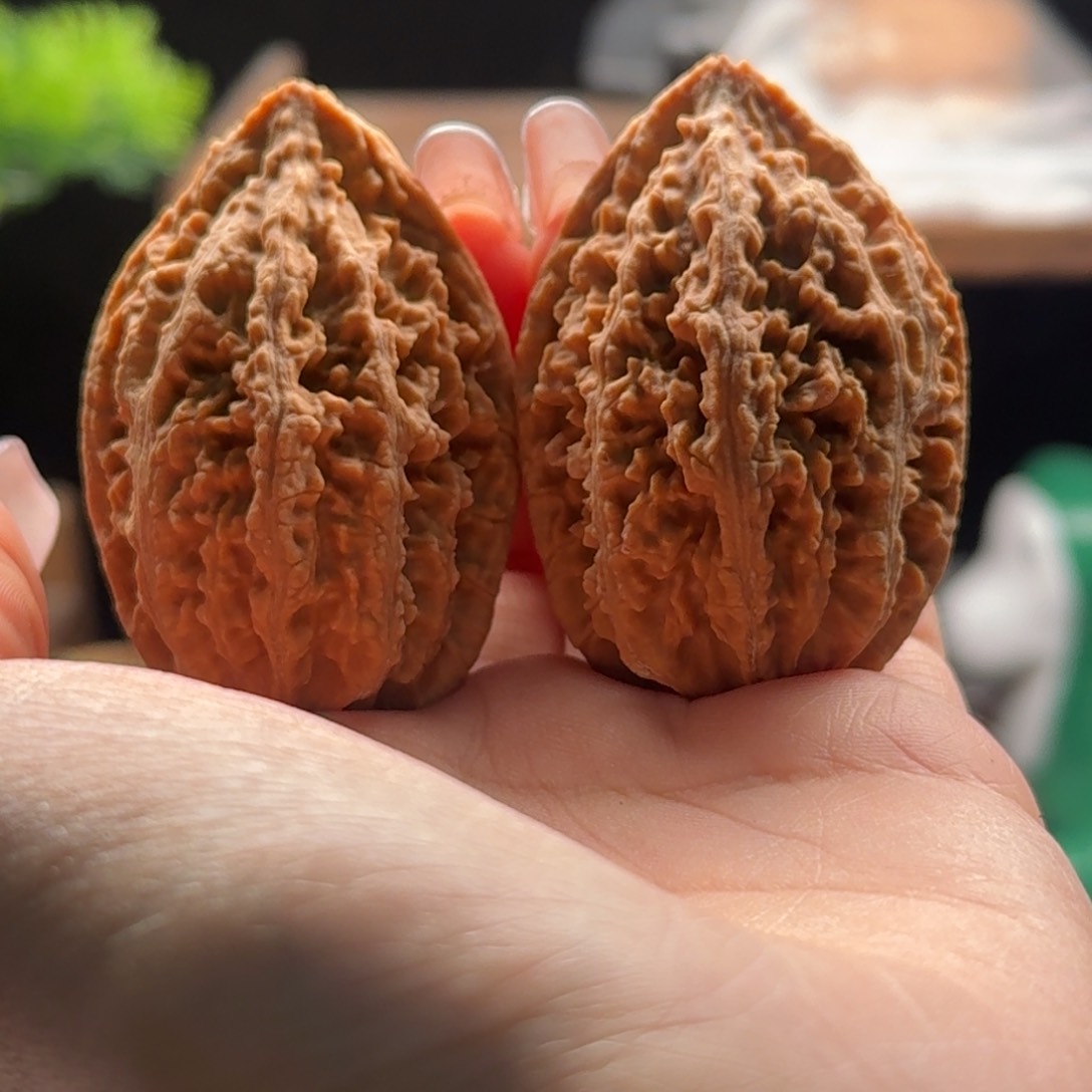 文玩核桃把件关东木子楸百核136