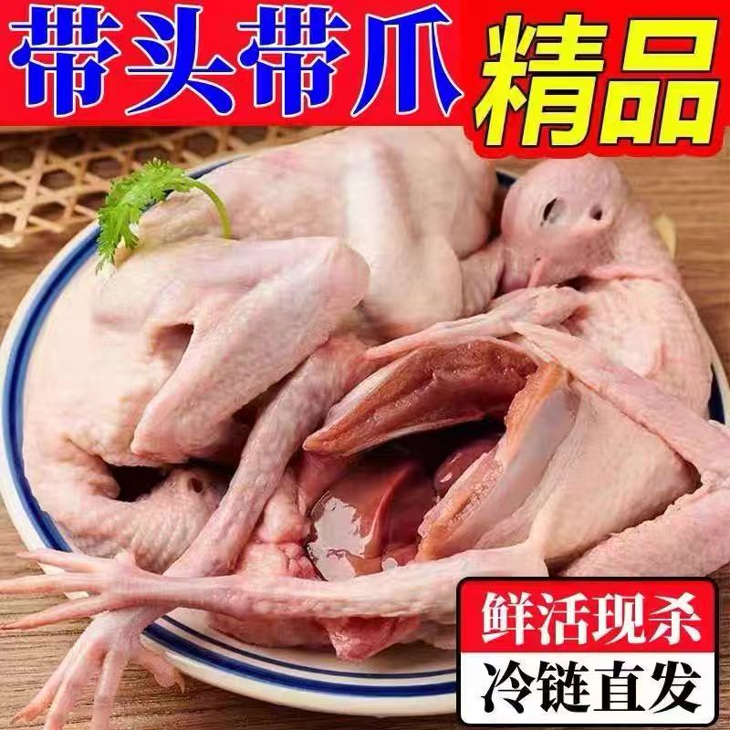 【顺丰包邮6只】新鲜宰杀鸽子肉新鲜速冻g