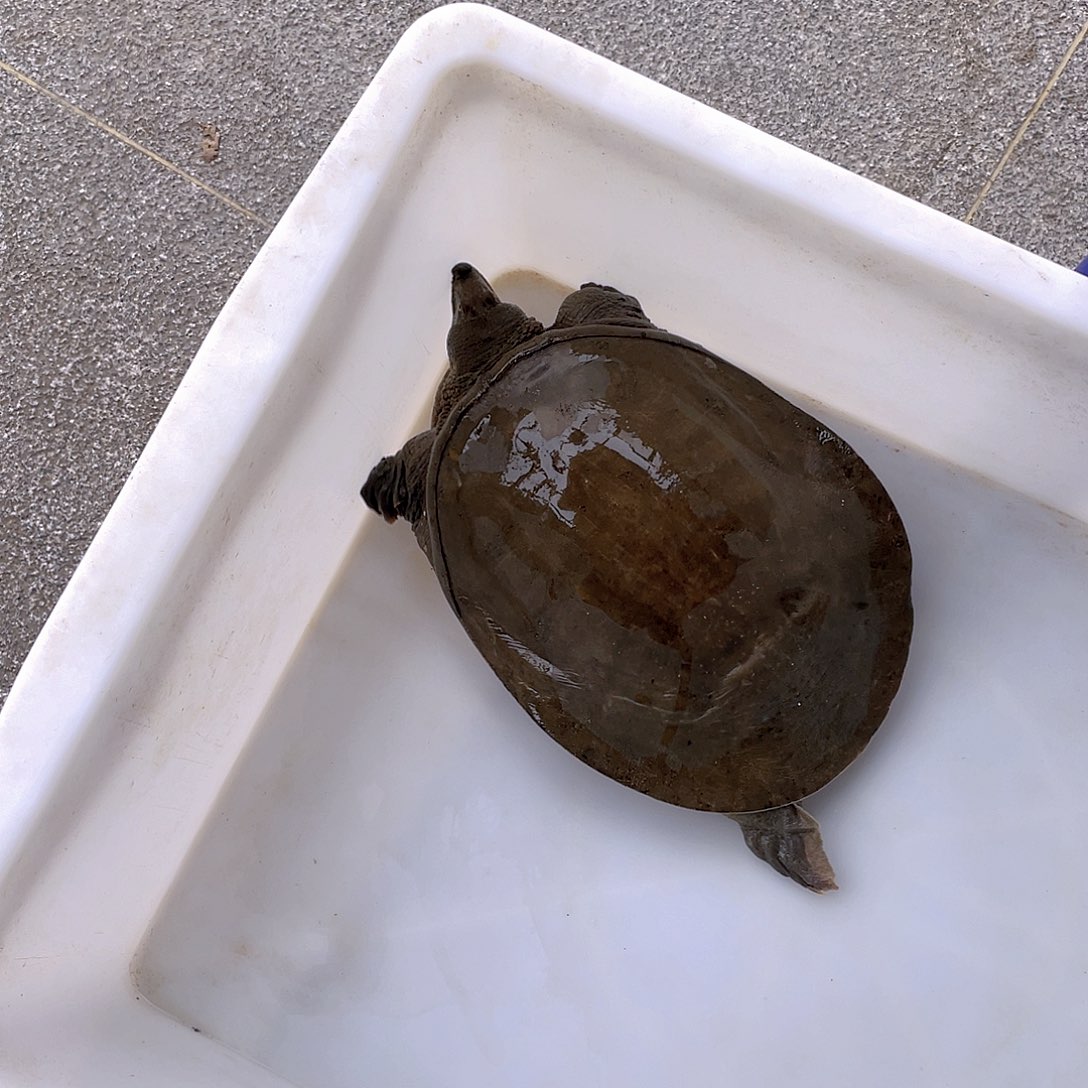 中国大陆12345678