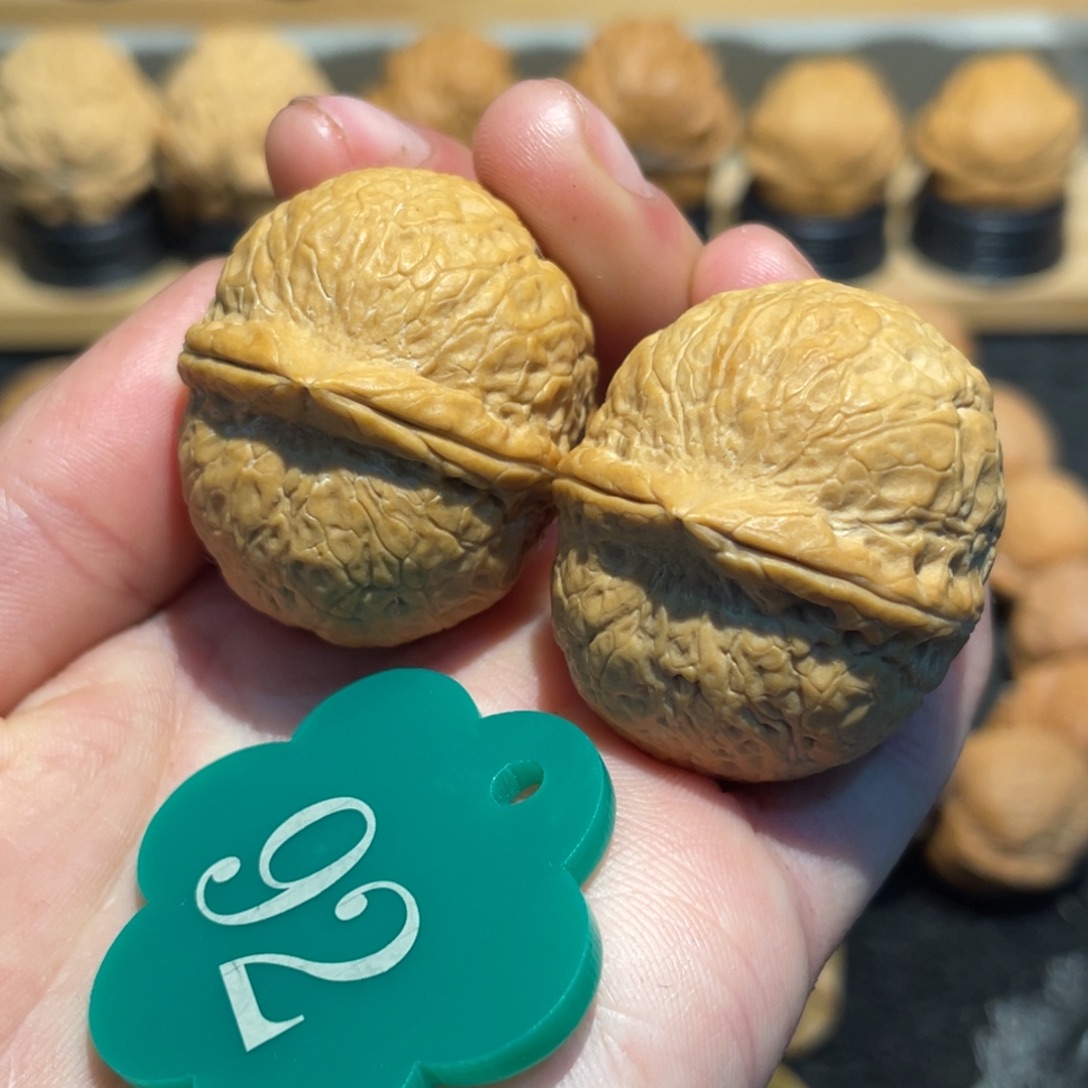 胖橘核桃微彩34。   