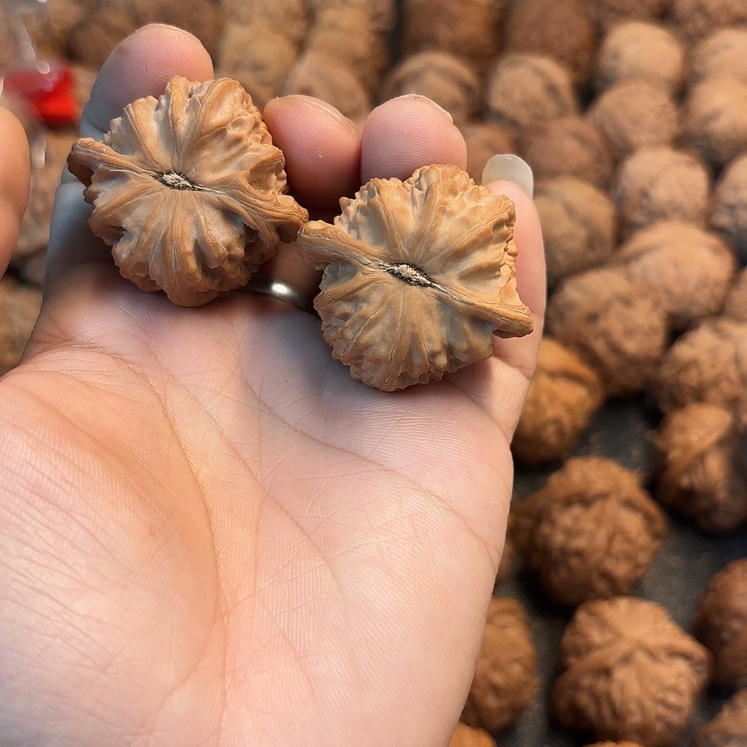 吊坠文玩核桃白狮子