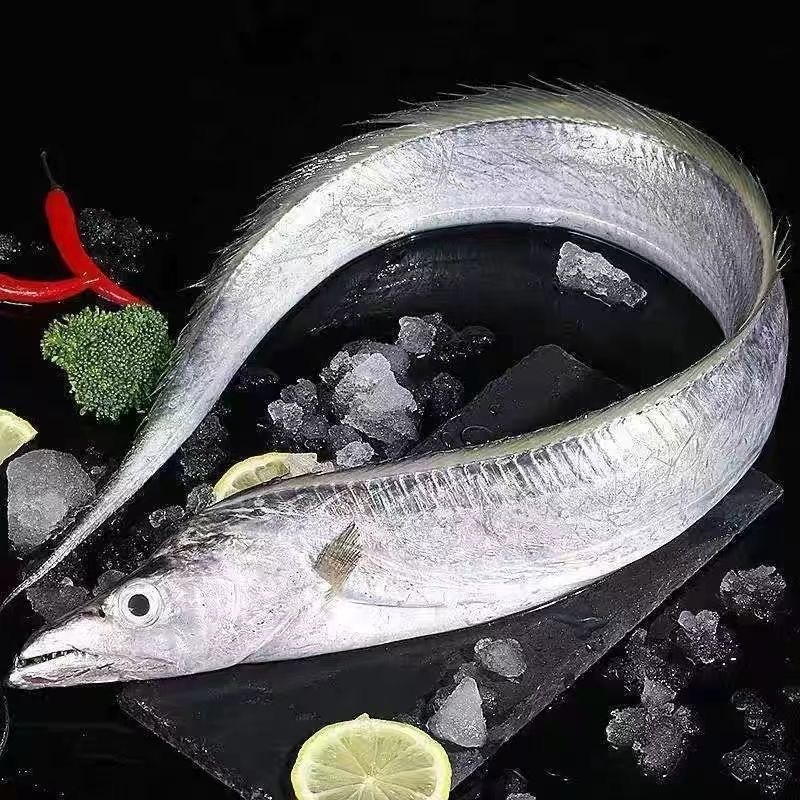 广东新鲜海捕带鱼1斤-2斤/条【2/4条，到手4斤】