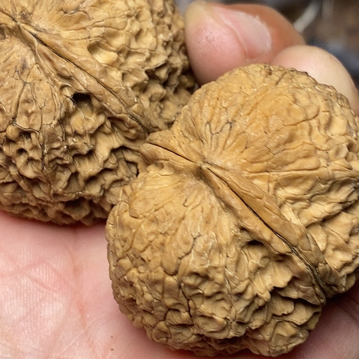 文玩核桃把件志成云铁文玩38