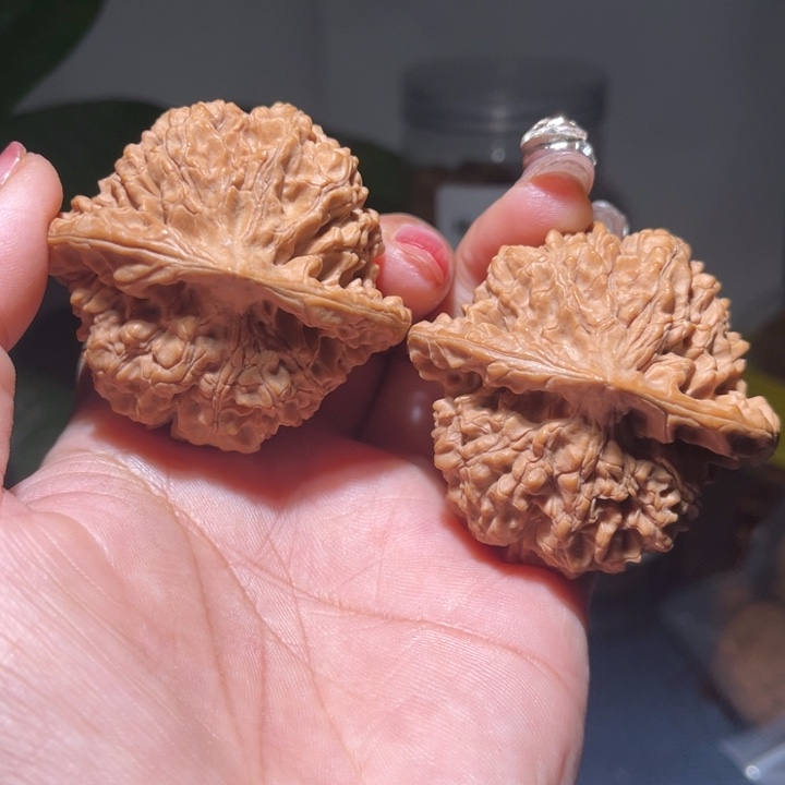 桃核吊坠                51.6